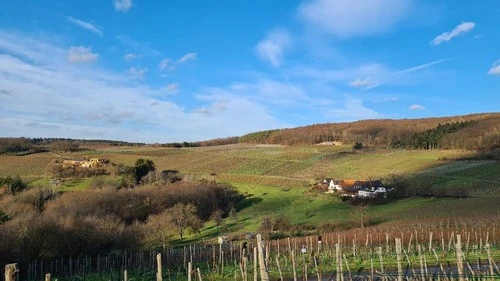 Weinberge im Ahrtal - Aus Wanderweg bei Parkplatz, Germany