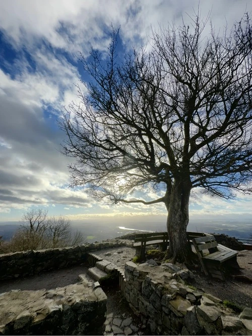 Blick ins Rheintal - Desde Löwenburg, Germany