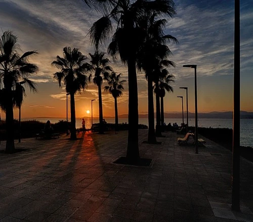 Mirador de Son Verí Nou