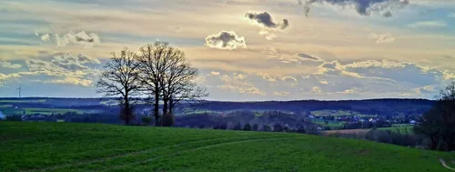 Niederfüllback fields - Germany