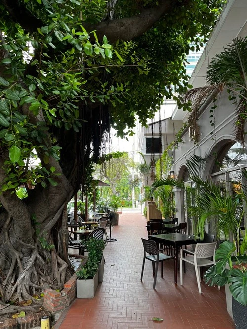 Ely Cafe - Colombia
