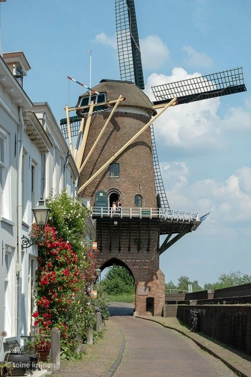 Molen Rijn En Lek - Netherlands