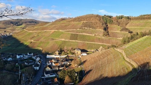 Weinberge im Ahrtal / Marienthal - Desde Wanderweg, Germany