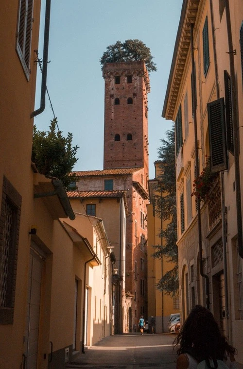 Torre Guinigi - Aus Via delle Chiavi D'Oro, Italy