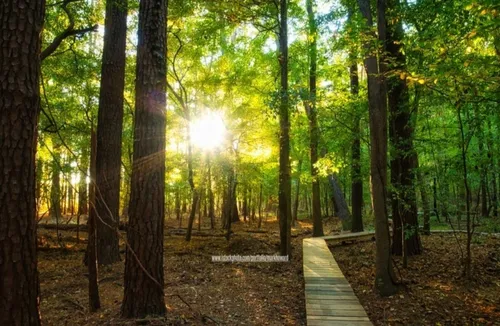 Lake Crabtree County Park - United States