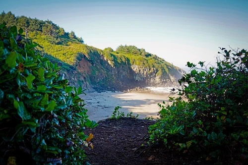 Fogarty Creek State Recreation Area - From Pull out south of main parking, United States