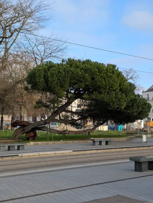 Château des ducs de Bretagne - Von Front Gardens, France