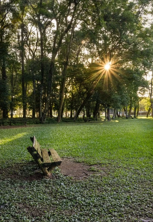 Parque Villa Lobos - Brazil