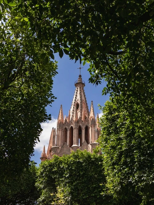 Basilica de San Miguel de Allende - Aus Jardin Allende, Mexico