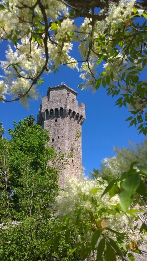 Terza torre - Depuis Sentiero vicino alla terza torre, San Marino