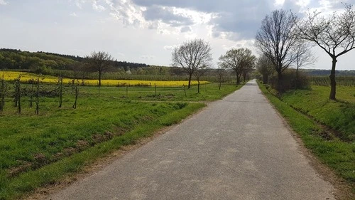 Felder und Natur bei Ersdorf - Aus Wander / Wirtschaftsweg, Germany
