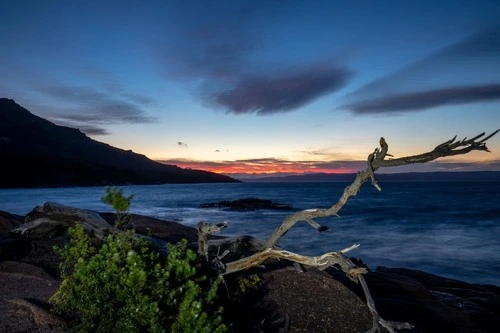 Coastline of Tasmania - Desde Close to Honeymoon Bay, Australia
