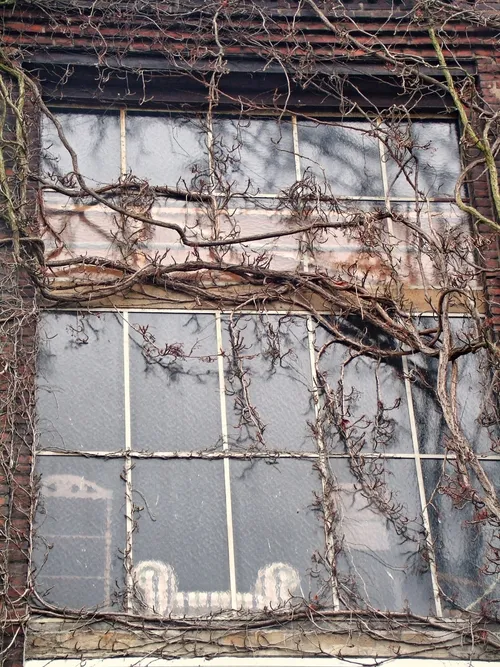 Factory Campus - Germany