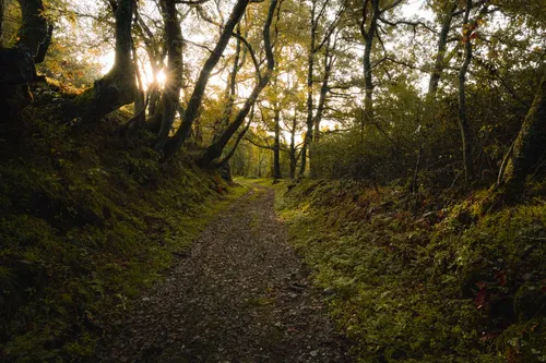 Fields near Vigo - Spain