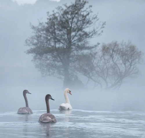 Pen Ponds - Desde Street, United Kingdom