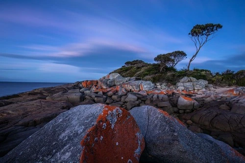 Bay of fires - Dari Skeleton Bay Reserve, Australia