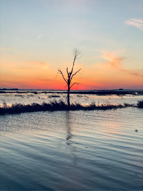 Quanicassee Wildlife Area - United States