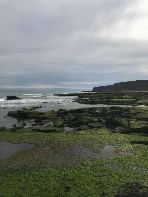 Reserva Punta Bermeja - Argentina