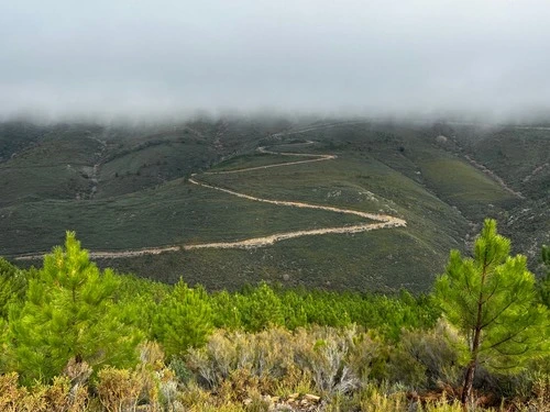 Camino de la Palla - Spain