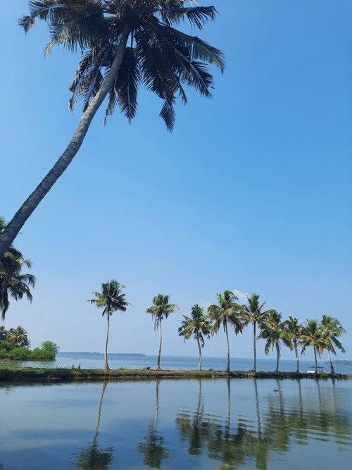 Trine Green Lagoon - India