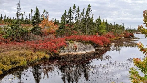 Big Lake - Nova Scotia - Od South Eastern End, Canada