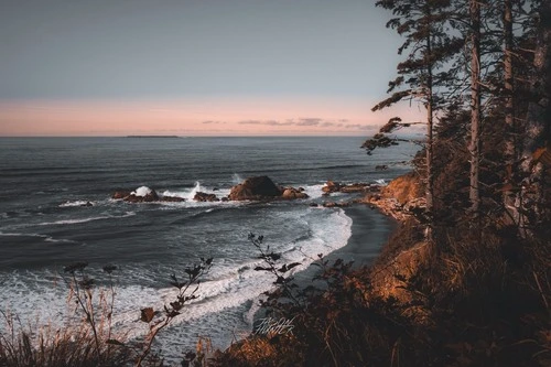 Ruby Beach - İtibaren Road, United States