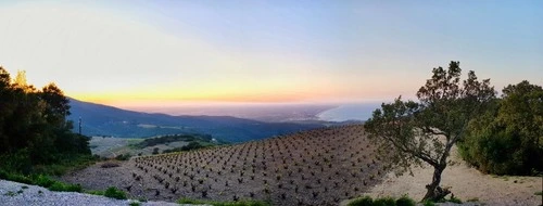 Argelès-sur-Mer - From Viewpoint, France