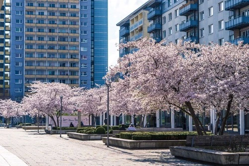 Rosenhof Street - Germany