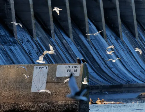 Conowingo Bridge - Desde Conowingo Fisherman's Park, United States