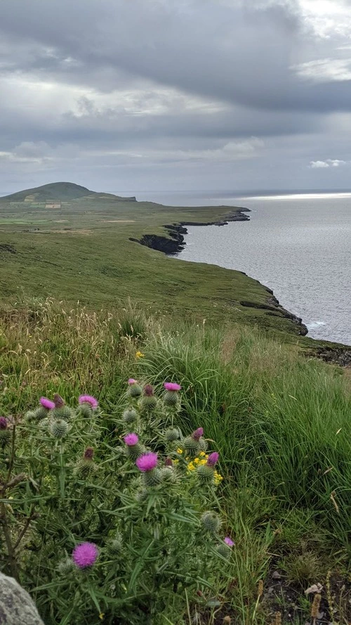 Geokaun Cliffs - From Fogher Cliffs, Ireland