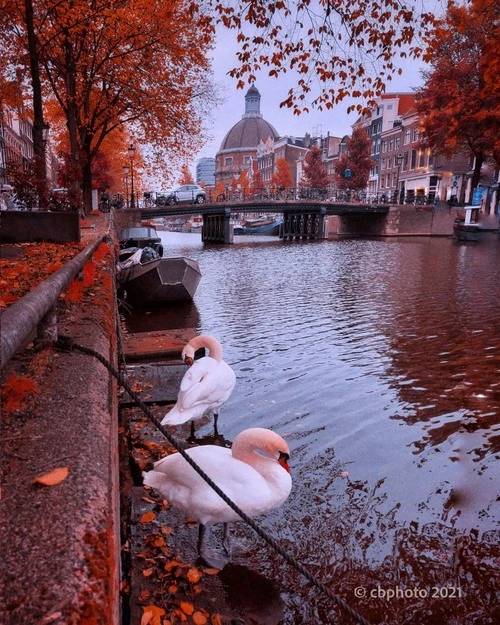 Lijnbaansbrug - Brug 10 - Des de Singel, Netherlands