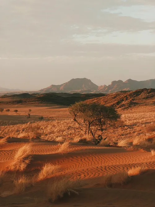 Desert near Bushman's Desert Camp - Namibia