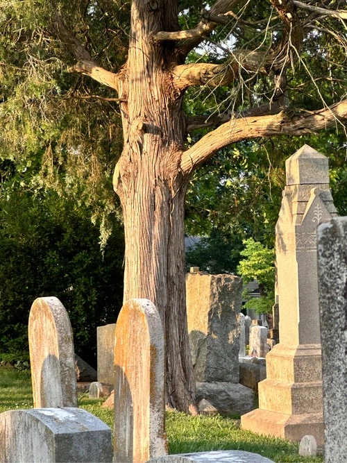 Maplewood Cemetery - United States