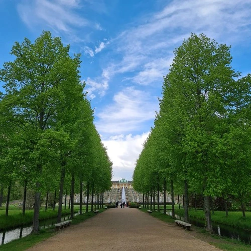 Alles zum Schloss Sanssouci - Desde Am grünen Gitter, Germany