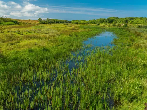 De Muy - Netherlands