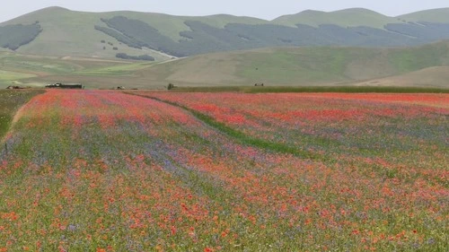 Colle di Castelluccio - From Road, Italy