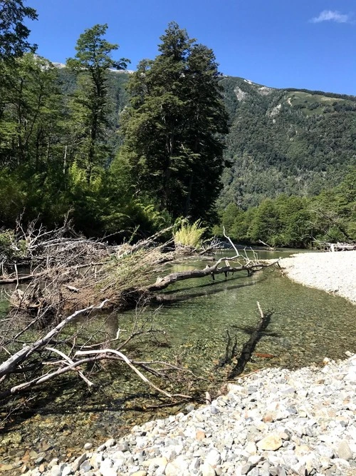 Río Queñi - Argentina
