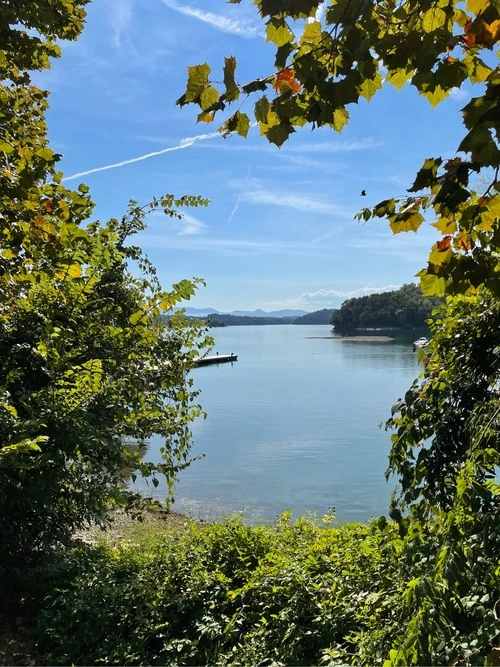 Douglas lake - Desde The parking lot to one of the boat rental places, United States