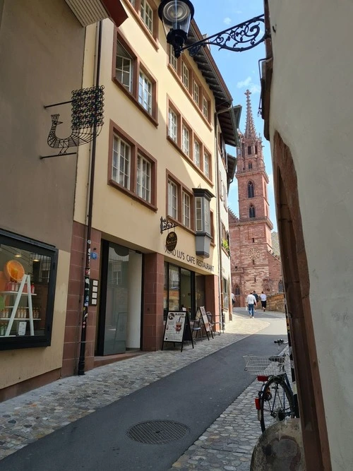 Basler Münster - From Münsterberg, Switzerland