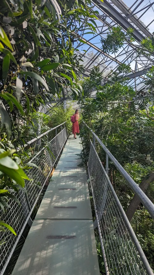 Hortus Botanicus - Netherlands