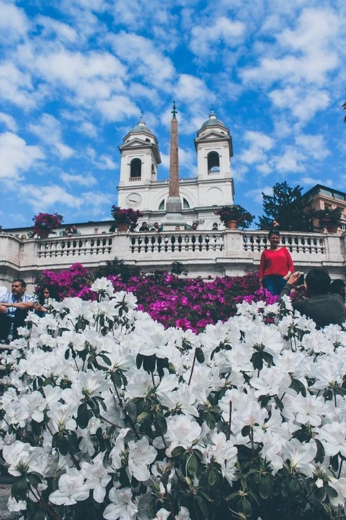 Scalinata di Trinità dei Monti - Depuis Stairs, Italy