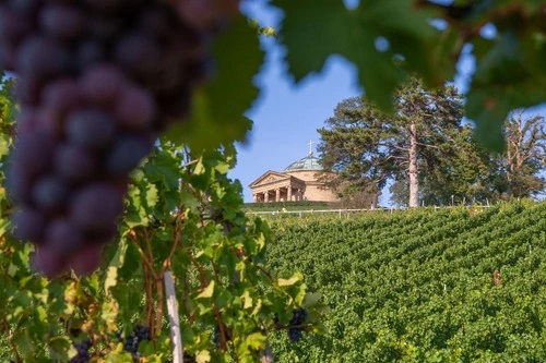 Sepulchral Chapel on Württemberg Hill - Aus Vineyard, Germany