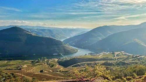 Vale do Douro - Depuis Miradouro de Casal dos Loivos, Portugal