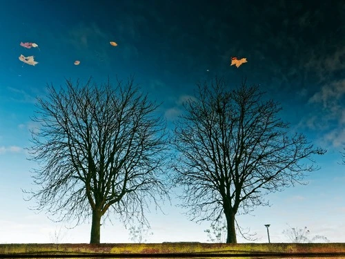 Canal de la Deule - From Façade de l'esplanade, France