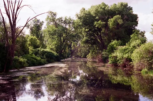 Lake Lodge - United States