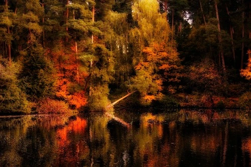 Serebryany Bor - Frá Trail, Russia