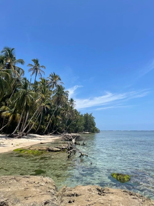 Punta Cahuita - Van Cahuita National Park, Costa Rica