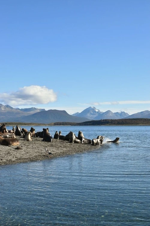 Isla Martillo - Argentina