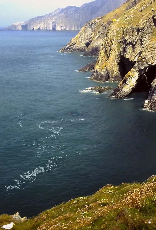 Cliff near Goleudy Ynys Lawd - United Kingdom