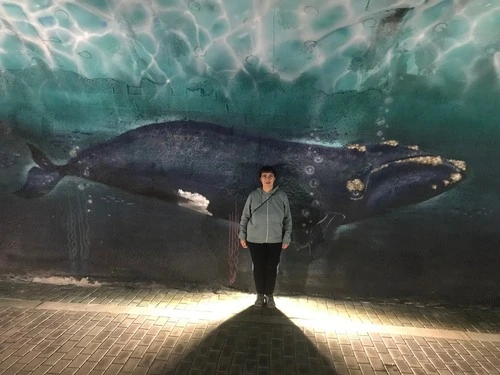 La ballena - Street Art - From Túnel de Laredo, Spain